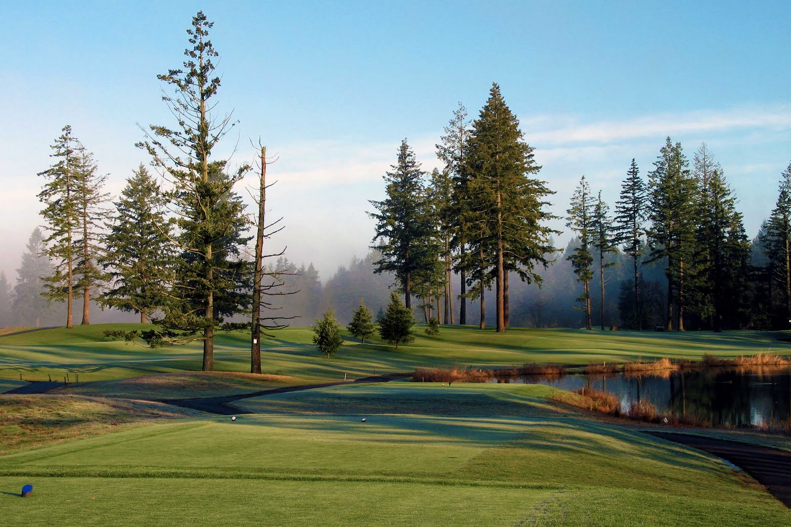 Stone Creek, Oregon City, Oregon Golf course information and reviews.